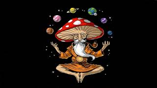 Psychedelic Goa Psytrance  Meditation quotMUSHROOMSquot MIX 2021 [upl. by Odelia]