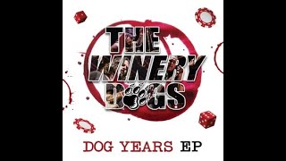 The Winery Dogs  Love Is Alive [upl. by Yenhpad82]