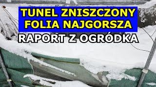 Najgorsza FOLIA TUNELOWA Kiedy Cięcie Borówki Truskawek Spacer po Ogrodzie Tunel foliowy Szklarnia [upl. by Rabah114]