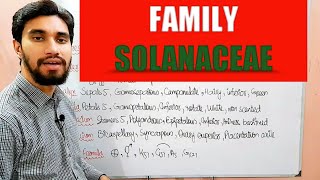 FAMILY SOLANACEAE  DESCRIPTION OF FLOWER Zeeraks Biology [upl. by Jarlen55]