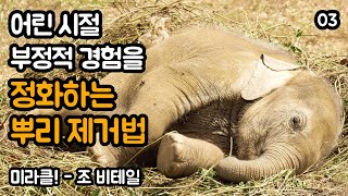 어린 시절 형성된 믿음을 지금 바꿔서 현재를 바꿀 수 있습니다 03  미라클 조 비테일 [upl. by Nahs]