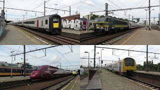 Bahnverkehr in AntwerpenBerchem🇧🇪 mit Thalys NS 186 HLE 21 amp M5 Wagen AR41 HLE 27 AM75 M6 uvm [upl. by Noletta662]