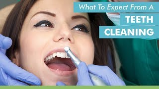 What To Expect From A Teeth Cleaning [upl. by Maye]