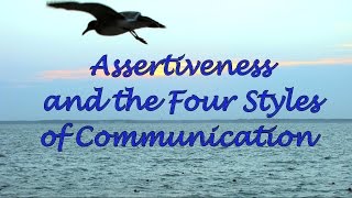 Assertiveness and the Four Communication Styles [upl. by Selestina]