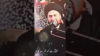 Allama syed Ali raza foryou allamaasifrazaalvinewmajlis shortvideo ghaziabbas [upl. by Rramel]