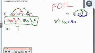 Investigating Polynomials [upl. by Lear]