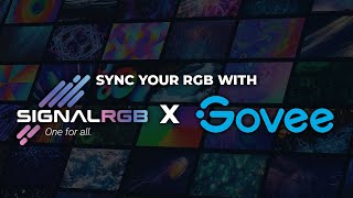 How to sync Govee with SignalRGB [upl. by Roderigo]