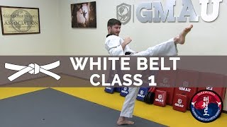 Taekwondo Follow Along Class  White Belt  Class 1 [upl. by Diad]