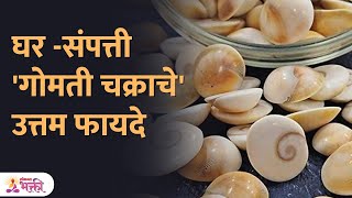 घरासाठी गोमती चक्र का आवश्यक आहे जाणून घ्या फायदे  Gomati Chakra Benefits  Vastu Tips For Home [upl. by Vevina]