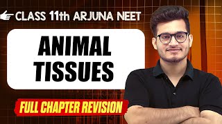 Animal Tissues  COMPLETE Chapter in 1 Video  Quick Revision  Class 11th Arjuna NEET [upl. by Shaum]