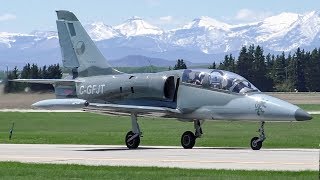 Watch Endangered young albatross takes to the skies for the first time [upl. by Lona551]