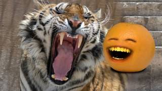 Annoying Orange  Totally Dental [upl. by Wall]