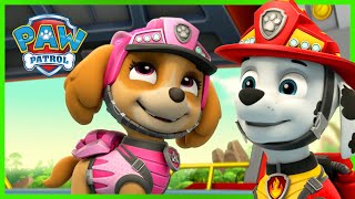 Marshall and Skye Rescue Knights Episodes and More 🏰 PAW Patrol  Cartoons for Kids [upl. by Atteragram]