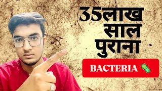 35 लाख साल पुराना BACTERIA जो बना देगा इंसान को अमर  A Microorganism with Extraordinary Potential [upl. by Llenehs]