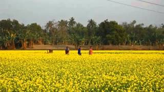 The National Anthem  Jatiyo Sangeet of Bangladesh quotAmar Sonar Bangla quot [upl. by Yelahs682]