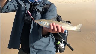 Pottsville Beach Fishing  BIG whiting on Berkley skid jig [upl. by Gerfen]