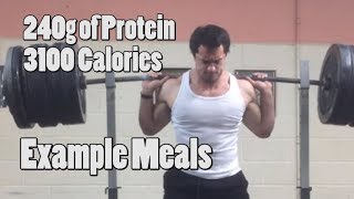 240g of Protein with 3100 Calories  Example Meals and Tips [upl. by Maude14]