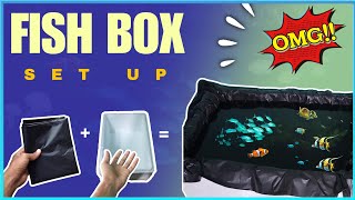 💥🤯how to make fish box setup 😱🤯telugu trending aquarium aquarium fishhobbyist viralnewsetup [upl. by Hyo]