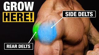 Shoulder Exercise  Get Big Shoulders SIDE AND REAR DELTS [upl. by Lemraj141]