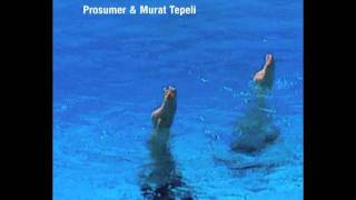 Prosumer amp Murat Tepeli  U amp I [upl. by Nnaacissej]