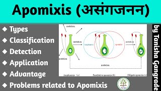 Apomixis  Facultative apomixis  Obligative apomixis  Recurrent Apomixis  by Tanisha Gangrade [upl. by Eeldarb27]