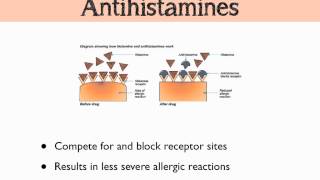 Histamine amp Prostaglandins [upl. by Orr]