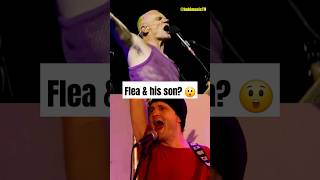 Is THIS Fleas lost son 😲 redhotchilipeppers rhcp flea [upl. by Eelyah]