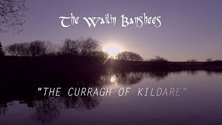 The Curragh of Kildare  The Wailin Banshees OFFICIAL VIDEO [upl. by Prisca42]