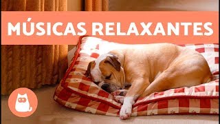 2 horas de MÚSICAS RELAXANTES PARA CACHORROS [upl. by Bork487]