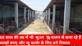 Pig Farming kesa kra।Piggery Design। Pig Farm Design।pig Farming Structure kaise Banaen sukar palan [upl. by Inahpets23]