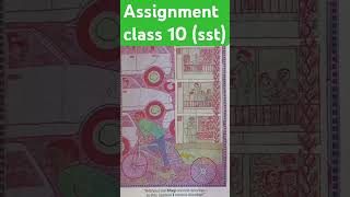 assignment class 10 sst eco shorts class10 youtubeshorts cbse [upl. by Tugman]