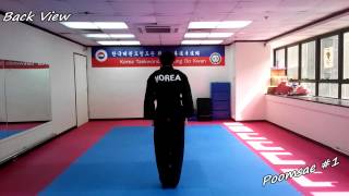 Taekwondo  Poomsae 1 Il Jang Slowmotion amp Mirror [upl. by Sawyer]