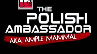 Tama Mali  Snimbe The Polish Ambassador Remix HQ [upl. by Georgianna]