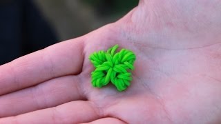 Rainbow loom Nederlands klavertje vier [upl. by Atiuqan]