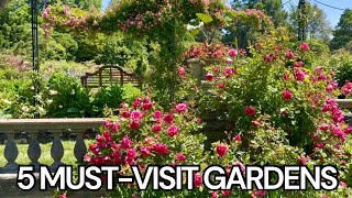 Botanical Garden Tours to Beat the Winter Blues❤️ Rose Garden Color Block Design Tropical Borders [upl. by Herzig]