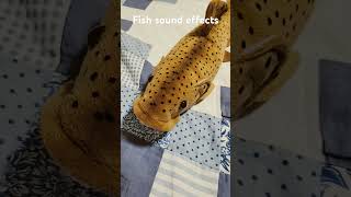 Fish sound effects funny imdraft comedy draftday draft jokes firstdraft draftchallenge [upl. by Ettener]