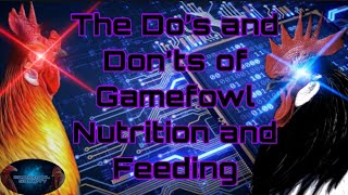 The Dos and Donts of Gamefowl Nutrition and Feeding Gamefowl Society Special Edition [upl. by Annazus]