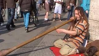 Didgeridoo das Instrument der Aborigines Ureinwohner von Australien [upl. by Higgs96]