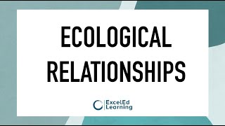 Ecological Relationships [upl. by Marteena119]