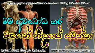 මම අවබෝධ කර මගෙන් නිදහස්වෙන්නHadapangoda niwathapa theropahuraDharmayai obai [upl. by Neemsay405]