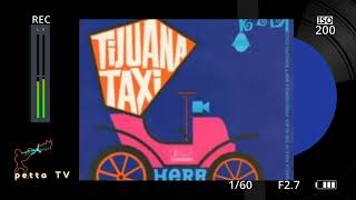 TIJUANA TAXI Herb Alperttrumpet coverhobby 펫따TV [upl. by Eelinej768]