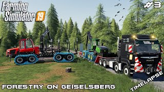 Moving equipment amp cutting down trees  Forestry on Geiselsberg  Farming Simulator 19  Episode 3 [upl. by Notsur349]