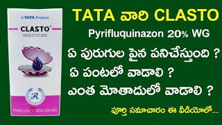 tata clasto insecticide  uses telugu  price  clasto tata insecticide  Pyrifluquinazon 20 WG [upl. by Buschi]