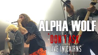 ALPHA WOLF  DONT ASK Live in Cairns 2022 [upl. by Orlena]