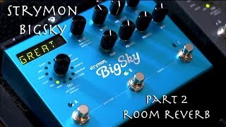 Strymon BigSky Pt1  Room Reverb [upl. by Vivica70]