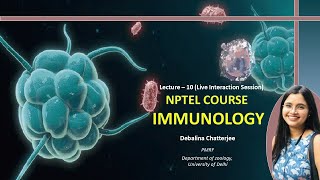 Lecture 10 Overlapping players of Innate amp Adaptive IS Natural killer cell ADCC Complement system [upl. by Yesnyl521]