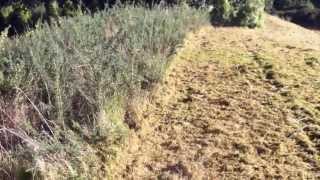 Block Busters and John Deere  Gorse and weeds mowing [upl. by Ahsenhoj]