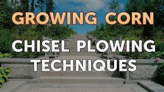 Chisel Plowing Techniques [upl. by Assirhc893]