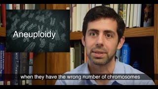 Relationship between incorrect chromosome number and cancer is reassessed [upl. by Furnary]