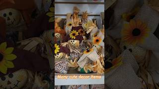 Fall Decor Finds at Dollar Tree dollartree dollartreefinds falldecor harvest canadiandollartree [upl. by Leirbag]